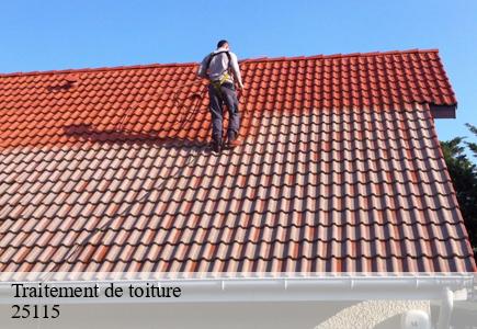 Traitement de toiture pouilley-les-vignes-25115 Entreprise Net 25