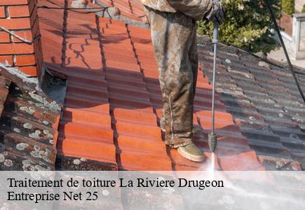 Traitement de toiture la-riviere-drugeon-25560 Entreprise Net 25