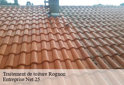 Traitement de toiture rognon-25680 Entreprise Net 25