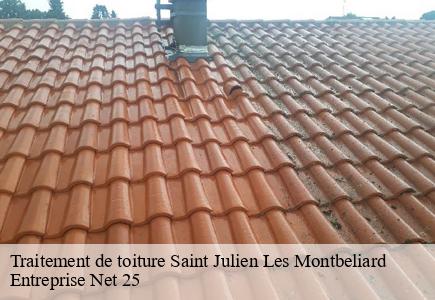 Traitement de toiture saint-julien-les-montbeliard-25550 Entreprise Net 25
