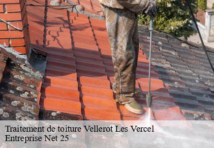 Traitement de toiture vellerot-les-vercel-25530 Entreprise Net 25