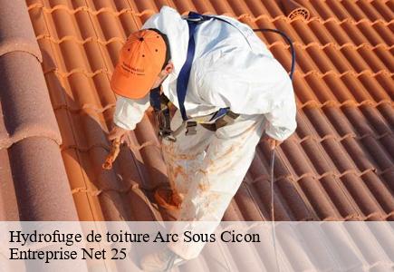 Hydrofuge de toiture arc-sous-cicon-25520 Entreprise Net 25