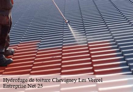 Hydrofuge de toiture chevigney-les-vercel-25530 Entreprise Net 25