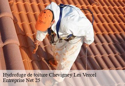 Hydrofuge de toiture chevigney-les-vercel-25530 Entreprise Net 25