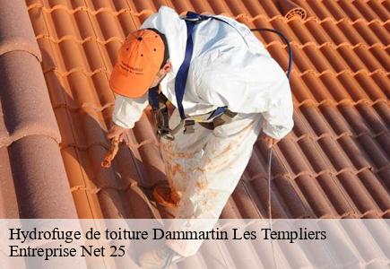 Hydrofuge de toiture dammartin-les-templiers-25110 Entreprise Net 25