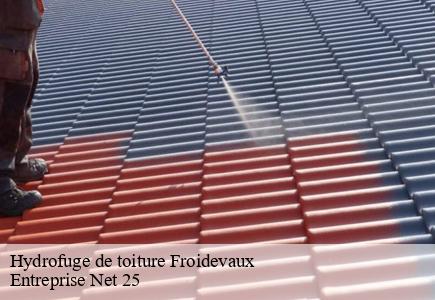 Hydrofuge de toiture froidevaux-25190 Entreprise Net 25