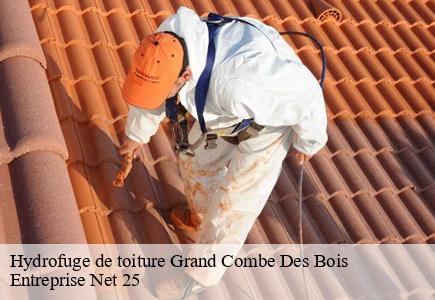 Hydrofuge de toiture grand-combe-des-bois-25210 Entreprise Net 25