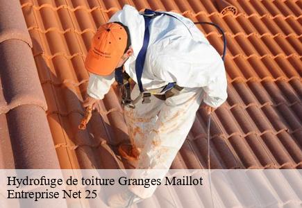 Hydrofuge de toiture granges-maillot-25270 Entreprise Net 25