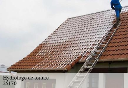 Hydrofuge de toiture lantenne-vertiere-25170 Entreprise Net 25