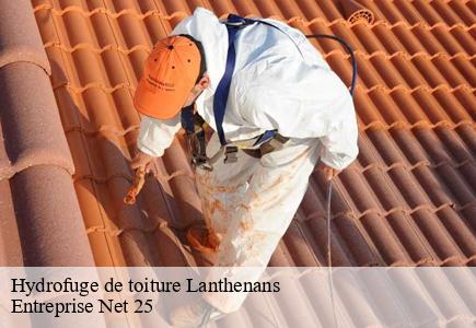 Hydrofuge de toiture lanthenans-25250 Entreprise Net 25