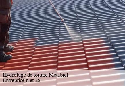 Hydrofuge de toiture metabief-25370 Entreprise Net 25