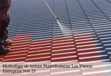 Hydrofuge de toiture pierrefontaine-les-varans-25510 Entreprise Net 25