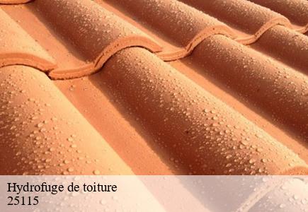 Hydrofuge de toiture pouilley-les-vignes-25115 Entreprise Net 25