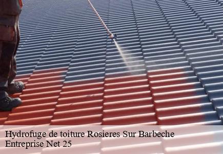 Hydrofuge de toiture rosieres-sur-barbeche-25190 Entreprise Net 25