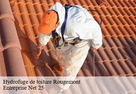 Hydrofuge de toiture rougemont-25680 Entreprise Net 25