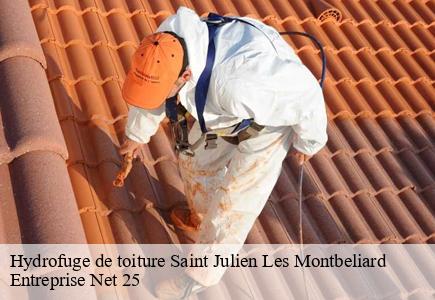 Hydrofuge de toiture saint-julien-les-montbeliard-25550 Entreprise Net 25