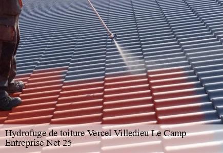 Hydrofuge de toiture vercel-villedieu-le-camp-25530 Entreprise Net 25