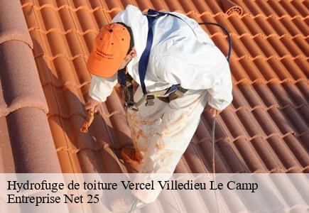 Hydrofuge de toiture vercel-villedieu-le-camp-25530 Entreprise Net 25