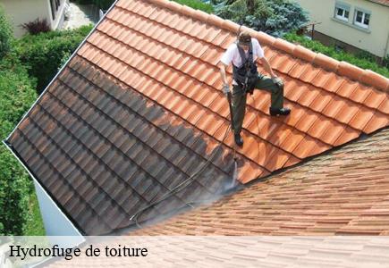 Hydrofuge de toiture villers-sous-chalamont-25270 Entreprise Net 25