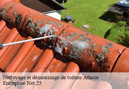 Nettoyage et démoussage de toiture athose-25580 Entreprise Net 25
