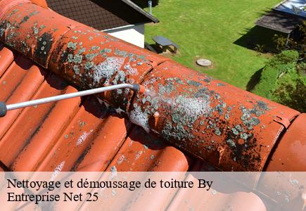 Nettoyage et démoussage de toiture by-25440 Entreprise Net 25
