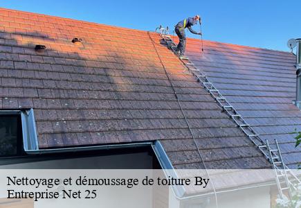 Nettoyage et démoussage de toiture by-25440 Entreprise Net 25