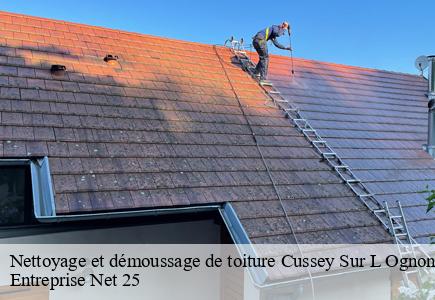 Nettoyage et démoussage de toiture cussey-sur-l-ognon-25870 Entreprise Net 25