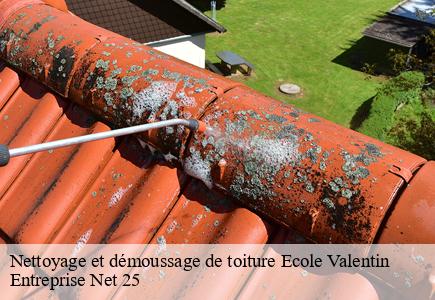 Nettoyage et démoussage de toiture ecole-valentin-25480 Entreprise Net 25