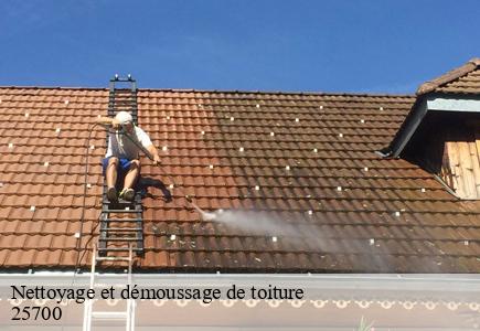 Nettoyage et démoussage de toiture mathay-25700 Entreprise Net 25