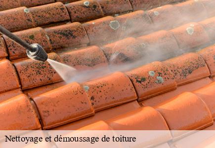 Nettoyage et démoussage de toiture mathay-25700 Entreprise Net 25