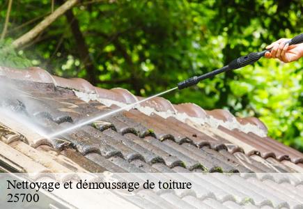 Nettoyage et démoussage de toiture mathay-25700 Entreprise Net 25