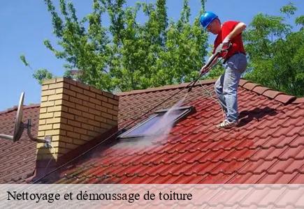Nettoyage et démoussage de toiture mathay-25700 Entreprise Net 25