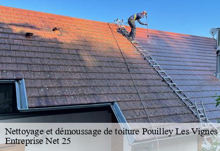 Nettoyage et démoussage de toiture pouilley-les-vignes-25115 Entreprise Net 25