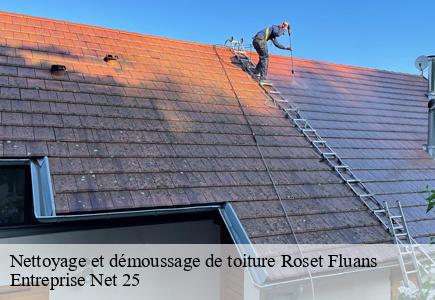 Nettoyage et démoussage de toiture roset-fluans-25410 Entreprise Net 25